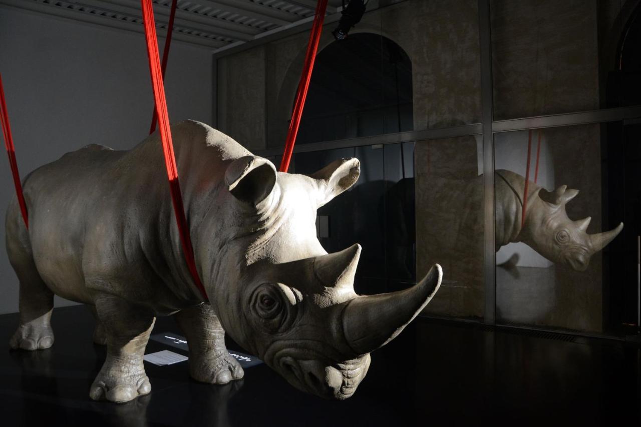 Rhinoceros Lejlighedshotel Rom Eksteriør billede